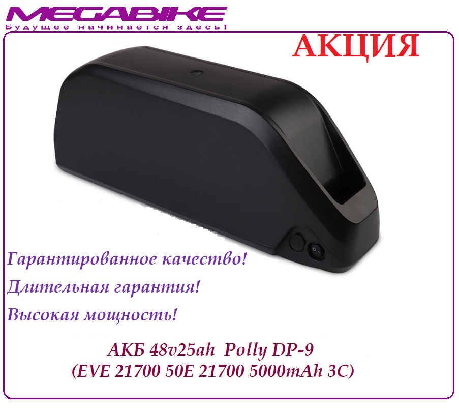 Аккумулятор АКБ 48v20ah LR2170LA в быстросъемном боксе Polly DP-9