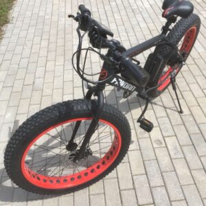 Электровелосипед Fat Bike E-Favorit 750W (Bafang)