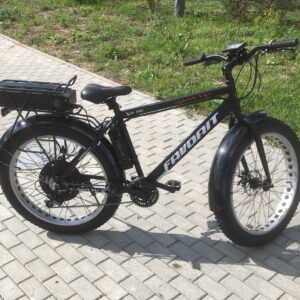 Электровелосипед Fat Bike FAVORIT 1000W (Чехия)