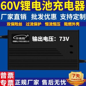 Зарядное устройство LiFePO4 60v2a (73v)