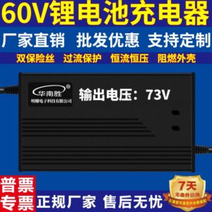 Зарядное устройство LiFePO4 60v5a (73v)